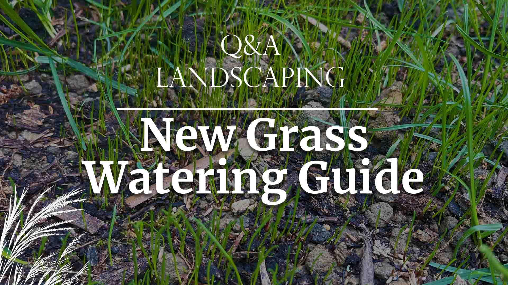 2023 Guide to Watering Newly Seeded Grass Lawns